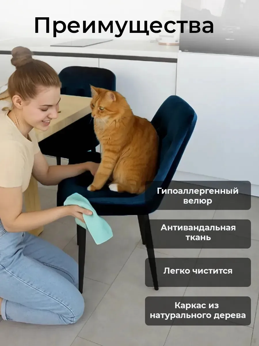 Стулья для кухни 2 шт со спинкой мягкие