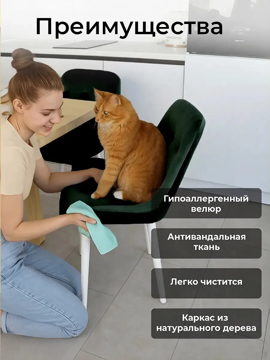 Стул для кухни 1 шт со спинкой мягкий